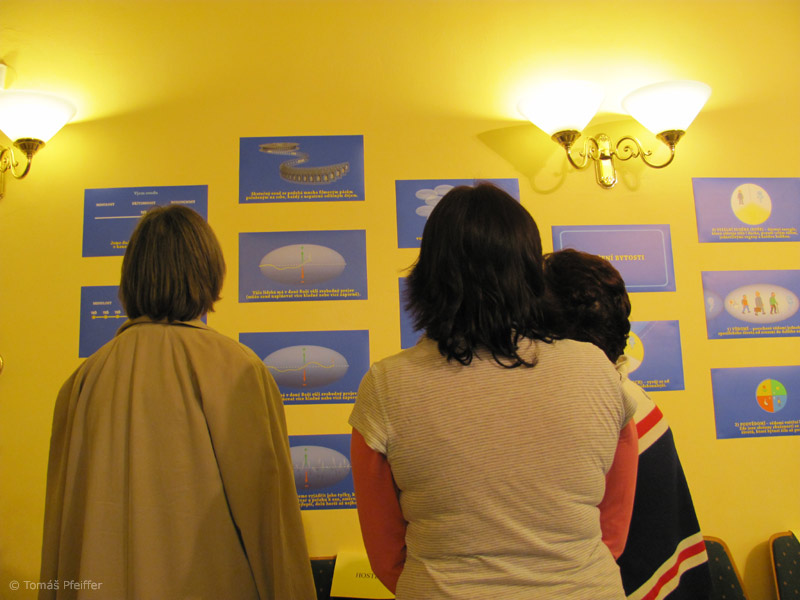Exposiciones &nbsp; 30. 3. 2011 &nbsp; &nbsp; &nbsp; << 19/32 >>