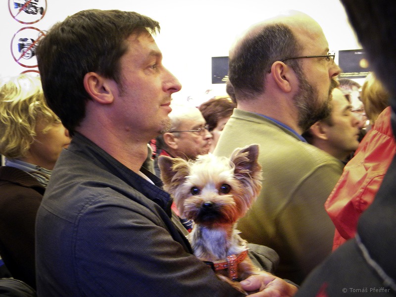 Exposiciones &nbsp; 30. 3. 2012 &nbsp; &nbsp; &nbsp; << 5/25 >>