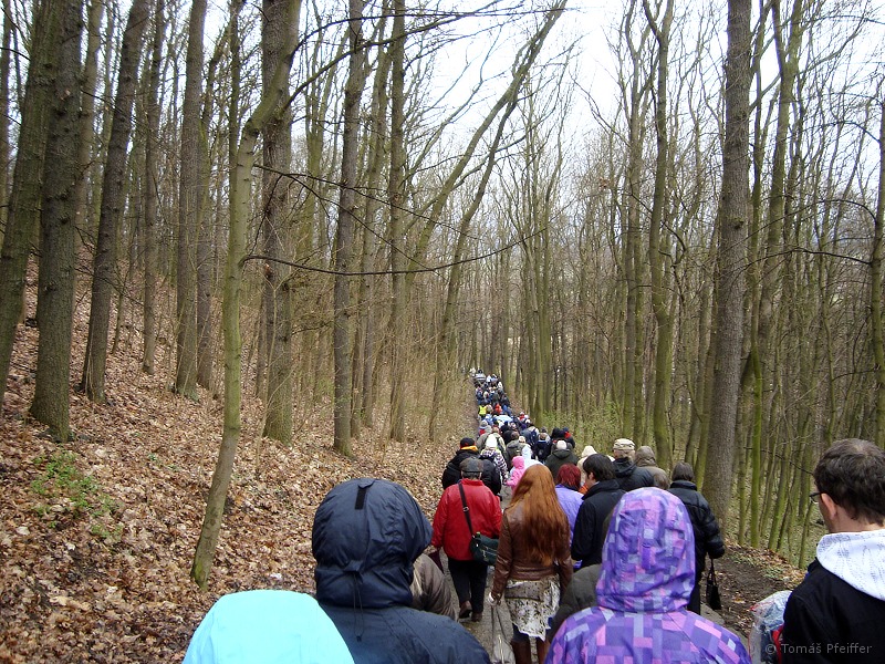 ŘÍP &nbsp; 30. 3. 2012 &nbsp; &nbsp; &nbsp; << 22/24 >>