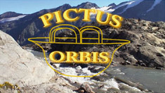 Pictus Orbis