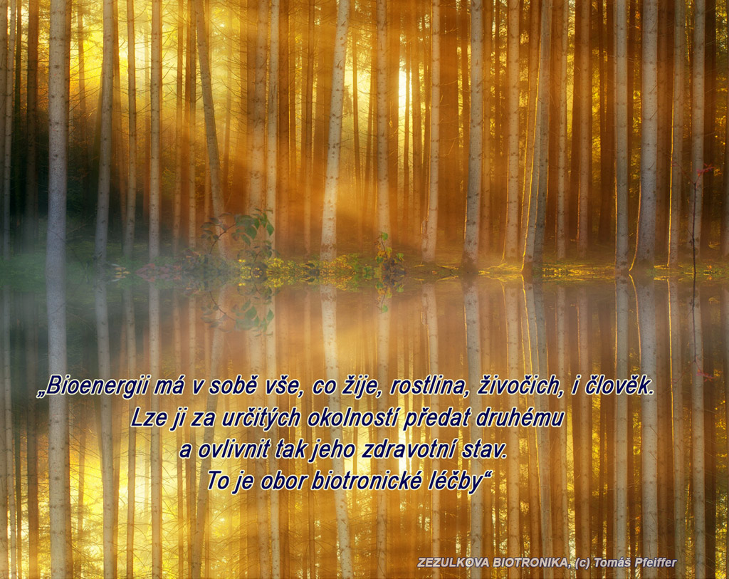 Bioenergii má v sobě vše, co žije, rostlina, živočich, i člověk. Lze ji za určitých okolností předat druhému a ovlivnit tak jeho zdravotní stav. To je obor biotronické léčby.
