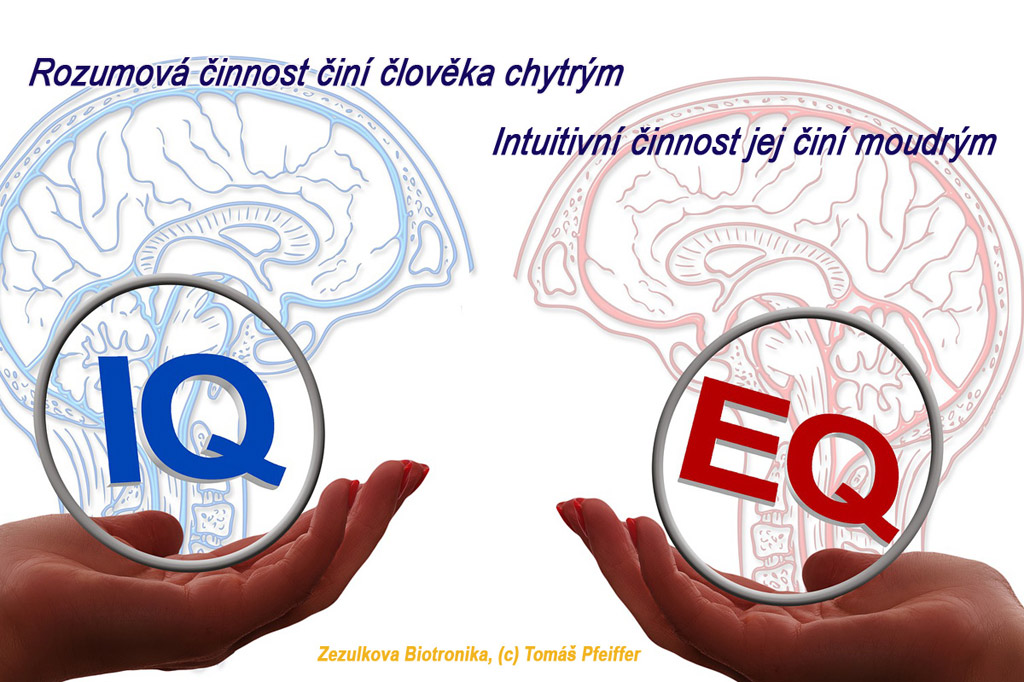 Rozumová činnost činí člověka chytrým. Intuitivní činnost jej činí moudrým.