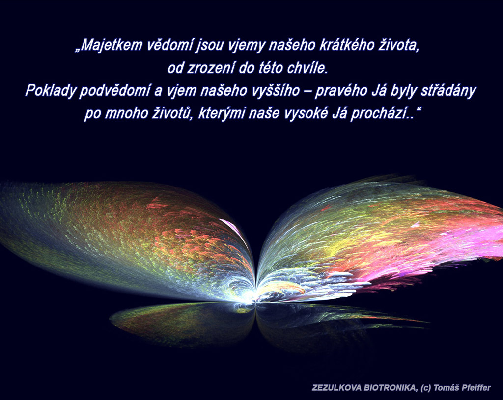 Majetkem vědomí jsou vjemy našeho krátkého života, od zrození do této chvíle. Poklady podvědomí a vjem našeho vyššího – pravého Já byly střádány po mnoho životů, kterými naše vysoké Já prochází.