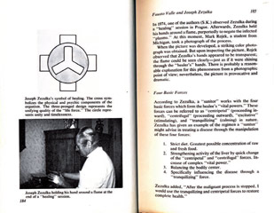 Ukázka z&nbsp;publikace The Realms of Healing.