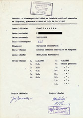 Chronická bronchitida