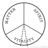 The area of the healing ability.